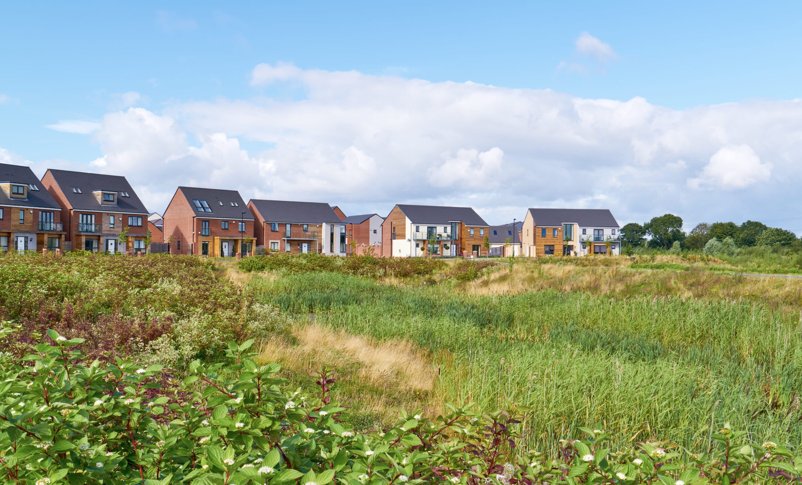 AdobeStock_107738309-scaled-1.jpeg?w=1024&h=619&scale